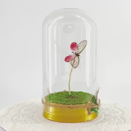 Large Pendant | Pink Glasswing | Flutter by Katie | Translucent | Butterfly Display | Sculpture Art | Pink | Handmade | South America