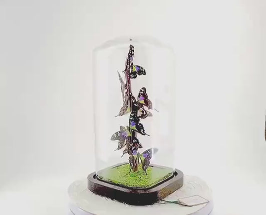 Small Centerpiece | Purple Spotted Swallowtail | Purple Green | Flutter by Katie | Handmade Butterfly Sculpture Art | Home Decor | Indonesia