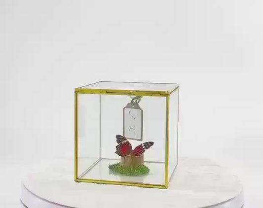 The Cube | Centerpiece | Scarlet Peacock | Red White | Flutter by Katie | Handmade Butterfly Sculpture Art | Home Decor | South America