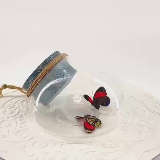 Droplet | Tabletop Wall Hanging | Double 8 Spot Numberwing | Red Black | Flutter by Katie | Butterfly Sculpture Art | Glass Bubble | Peru