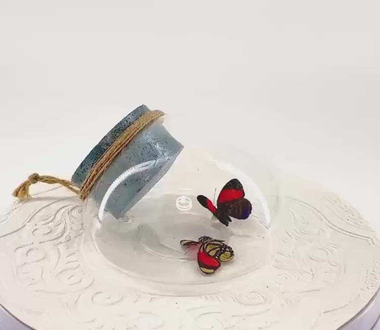 Droplet | Tabletop Wall Hanging | Double 8 Spot Numberwing | Red Black | Flutter by Katie | Butterfly Sculpture Art | Glass Bubble | Peru