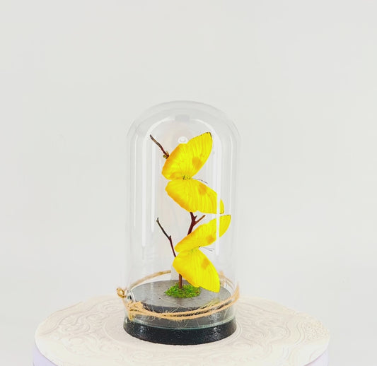 Large Pendant | Hanging or Tabletop Centerpiece | Orange-barred Sulphur | Yellow Orange | Flutter by Katie | Handmade Butterfly Sculpture Art | Home Decor | North America