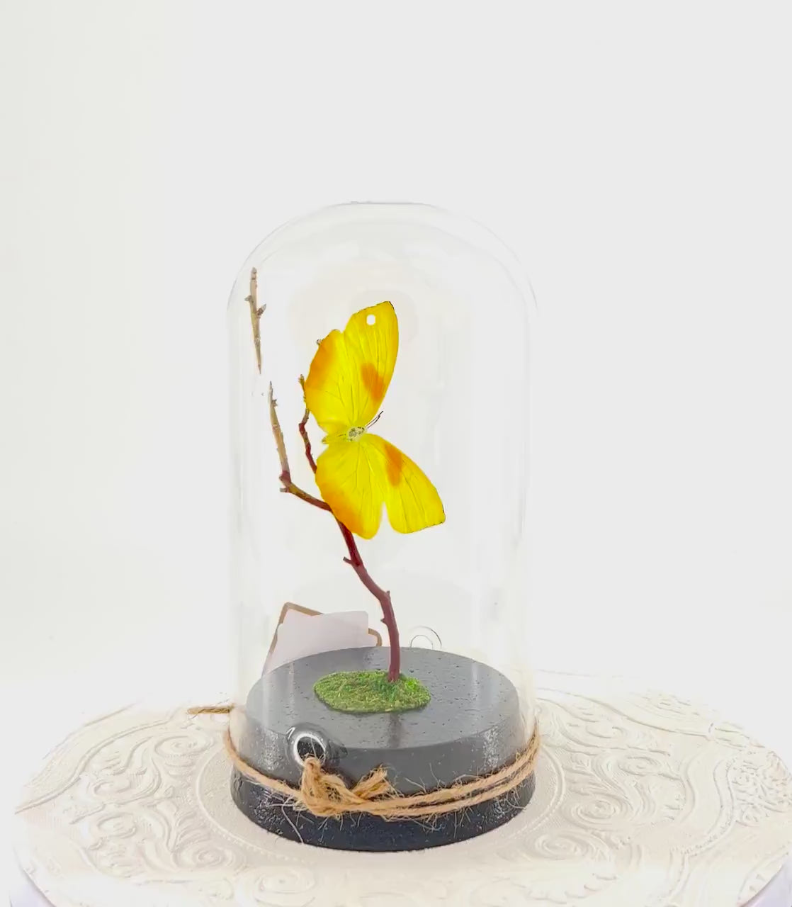 Large Pendant | Orange-barred Sulphur | Yellow | Flutter by Katie | Handmade Butterfly Sculpture Art | Home Decor | North America