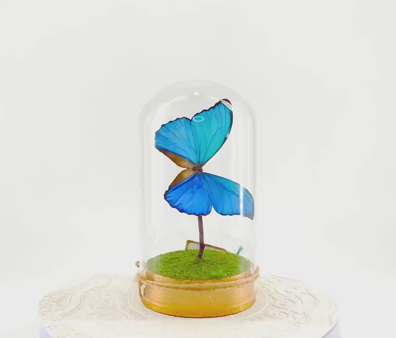 Large Pendant | Hang or Tabletop Centerpiece | Blue Morpho | Irridescent | Flutter by Katie Butterfly Sculpture Art | Home Decor | Guyana